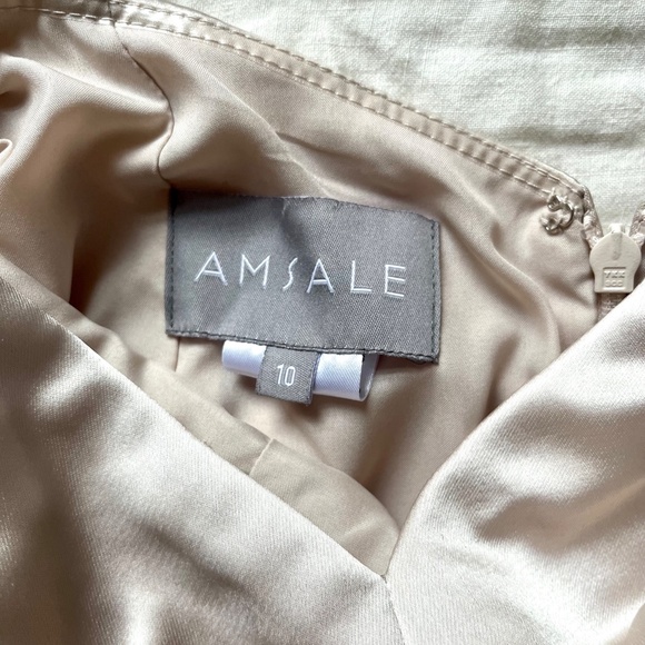 Amsale Tiana Long Evening Bridesmaids Dress in Champagne, Size 10 - Picture 8 of 8